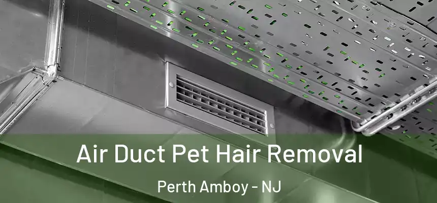 Air Duct Pet Hair Removal Perth Amboy - NJ