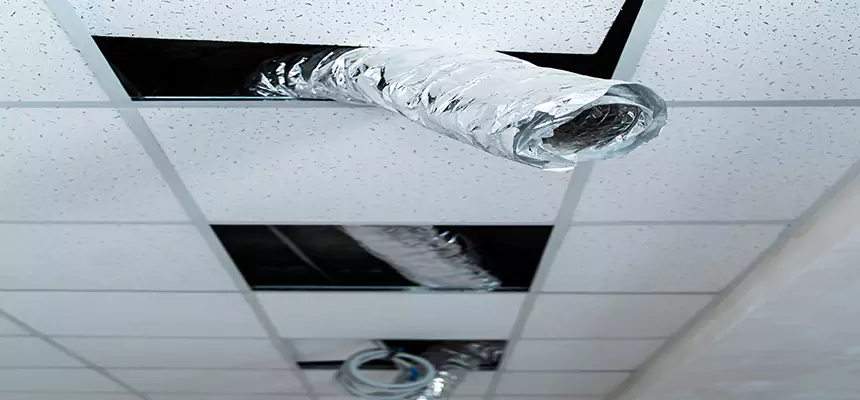 Affordable HVAC Sanitizing After Pest Removal in Perth Amboy