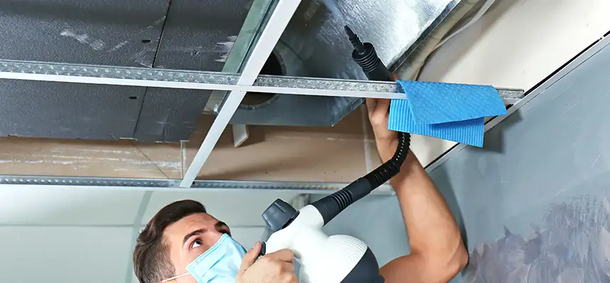 Our Air Duct Rodent Removal Services in Perth Amboy, NJ