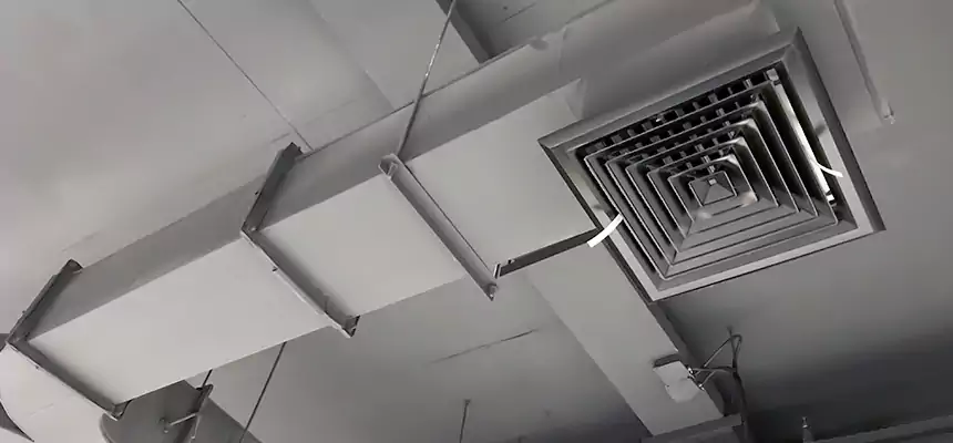 Restorative Allergy Relief Vent Cleaning – Coil, Blower & Housing Detail in Perth Amboy