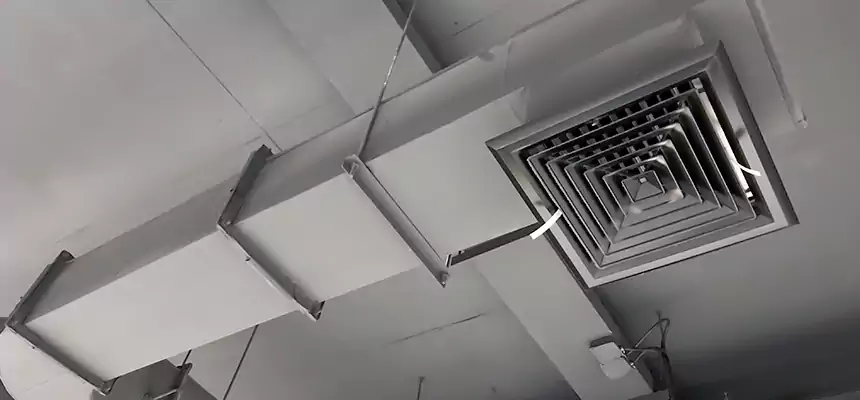 Our Pest Removal From Ducts Services in Perth Amboy, NJ