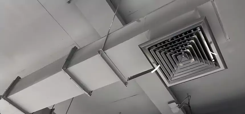 Our Rodent Droppings In Vents Services in Perth Amboy, NJ