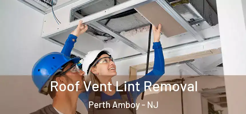 Roof Vent Lint Removal Perth Amboy - NJ