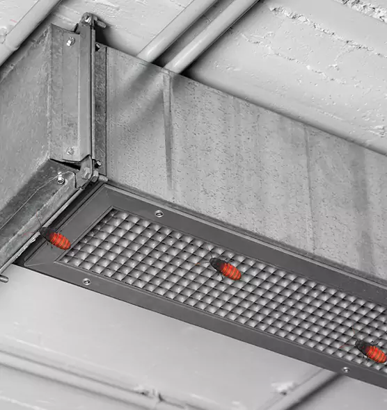 About Air Duct Cockroach Removal in Perth Amboy, NJ