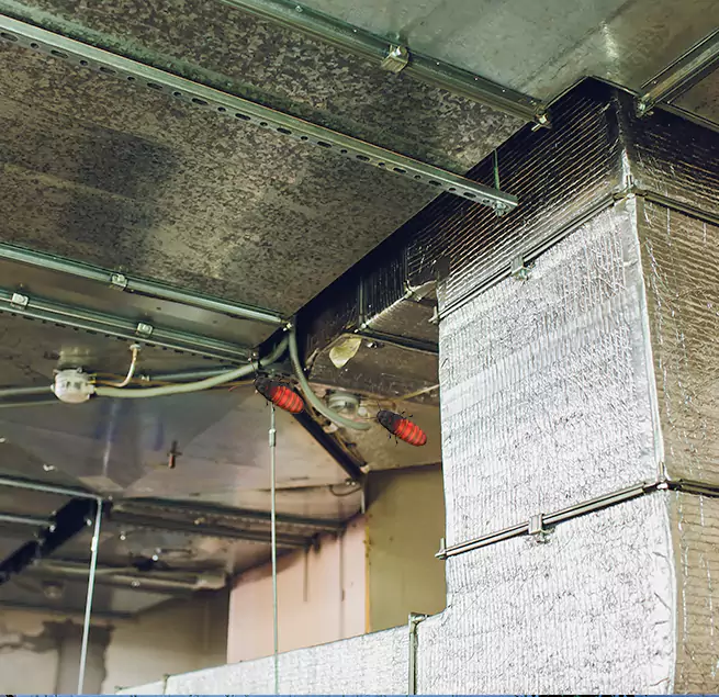 Why Homeowners & Businesses Trust Us in Perth Amboy, NJ?