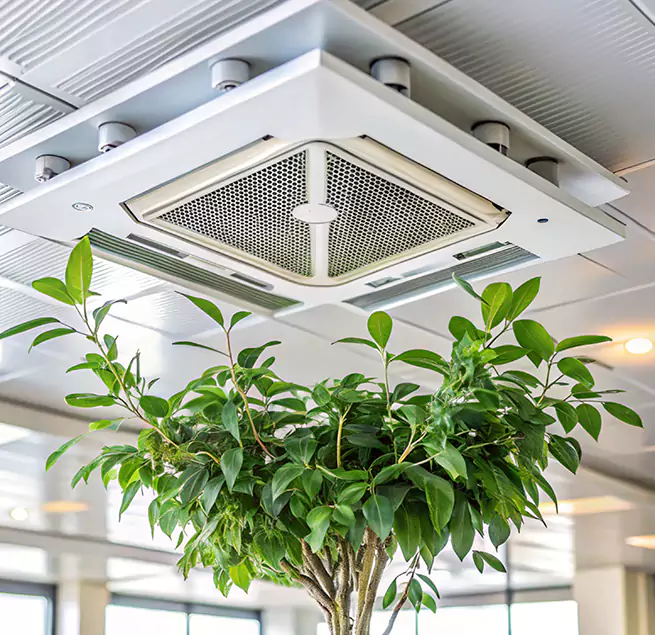 Why Homeowners & Businesses Trust Us in Perth Amboy, NJ?